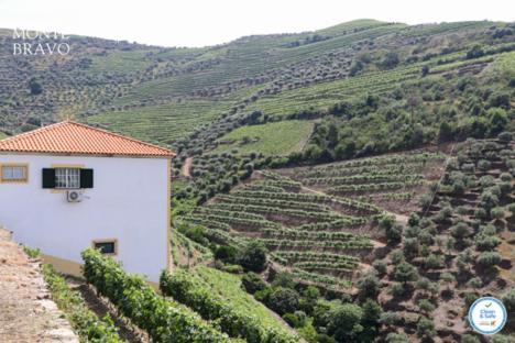 Quinta Do Monte Bravo - Douro - Quarto Duplo Villa Ervedosa do Douro Dış mekan fotoğraf