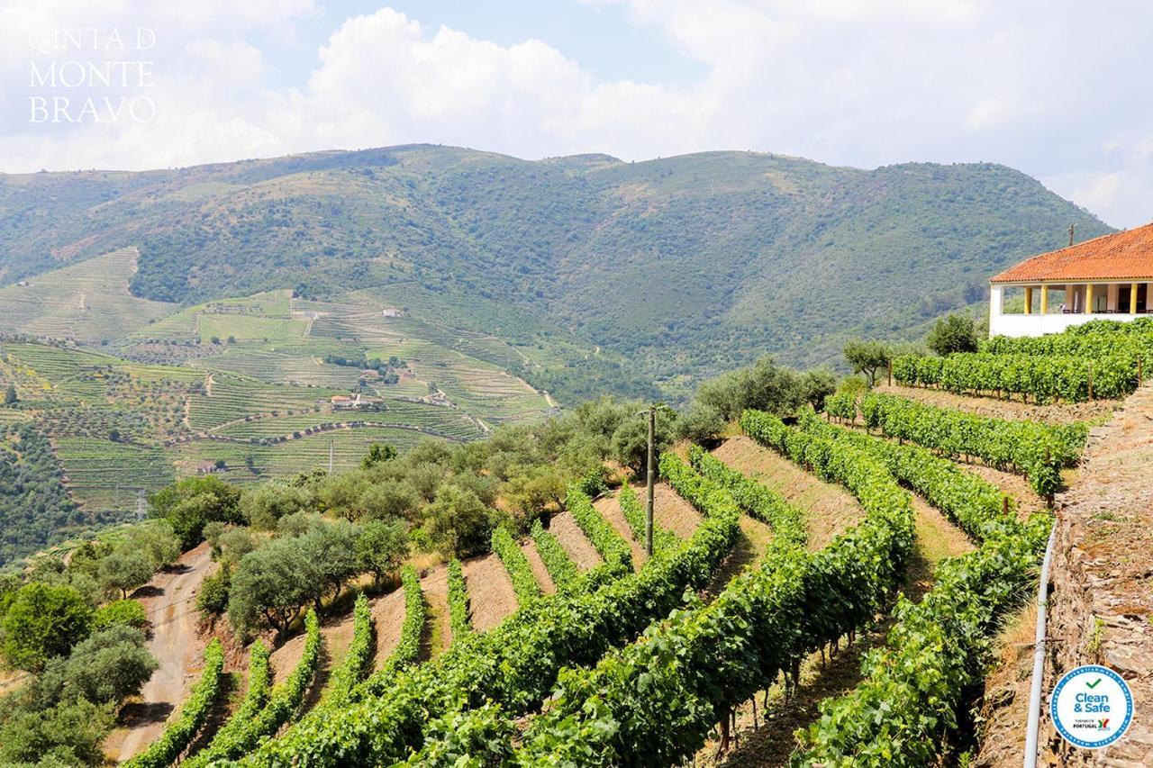 Quinta Do Monte Bravo - Douro - Quarto Duplo Villa Ervedosa do Douro Dış mekan fotoğraf