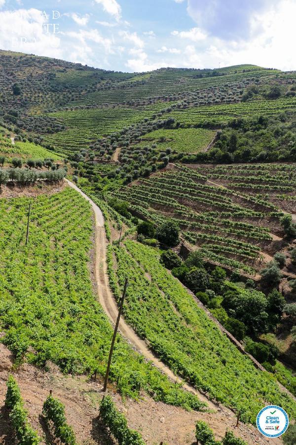 Quinta Do Monte Bravo - Douro - Quarto Duplo Villa Ervedosa do Douro Dış mekan fotoğraf